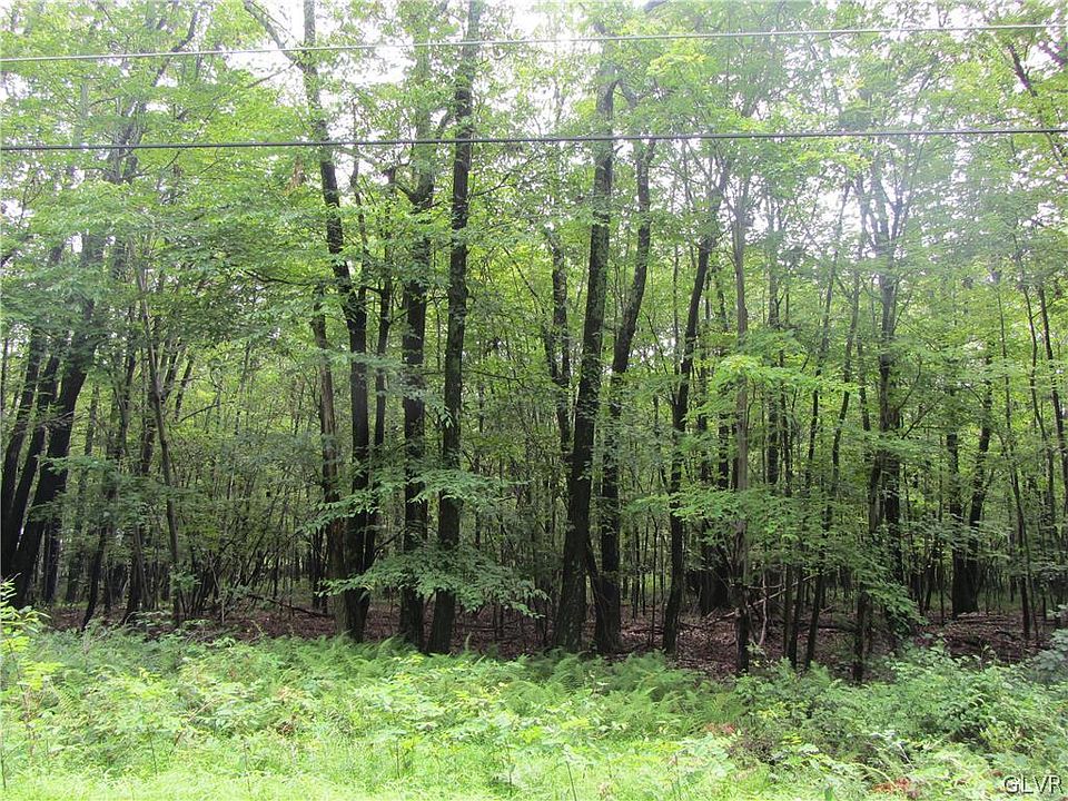 2nd image of Plantation Dr