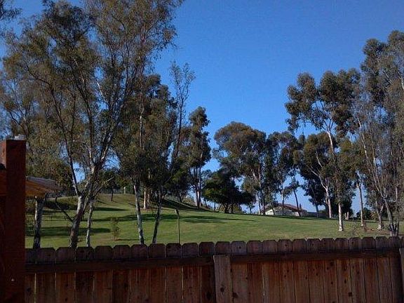 4th image of 542 Woods Dr