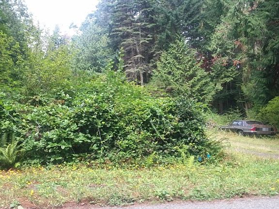 4th image of 9235 Marshall Rd