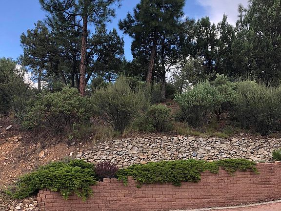 5th image of 1549 Scotch Pine Dr