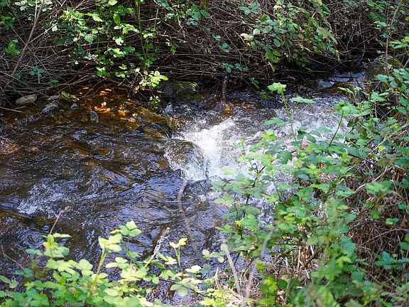 4th image of 15806 Perimeter Rd