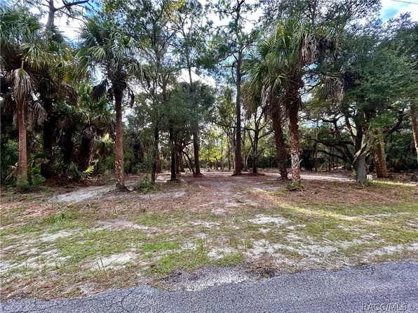 7544 N Bitterroot Dr, Crystal River, FL 34428