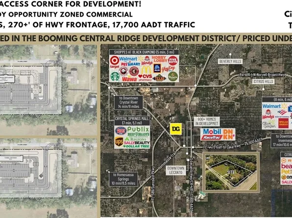 3228 & 3164 W Laurel St, Lecanto, FL 34461