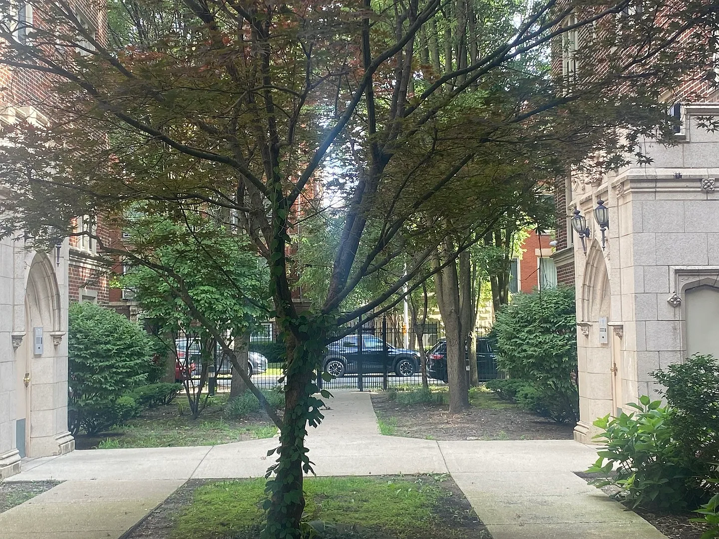 2 bed, 1100 sqft, $1,450 — Photo 3