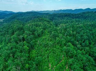 Tbd Elbow City Rd, Rogersville, TN 37857