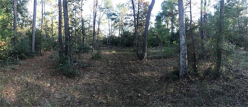 1st image of 8991 Forest Lake Dr