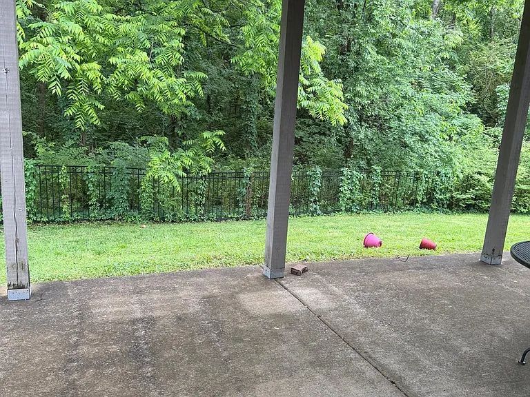 449 Stone Chimney Ct — Photo 19