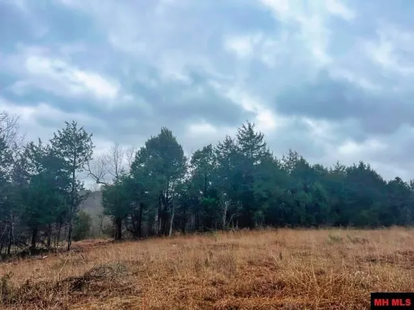 001-00066-001 McCoy Trl, Norfork, AR 72658