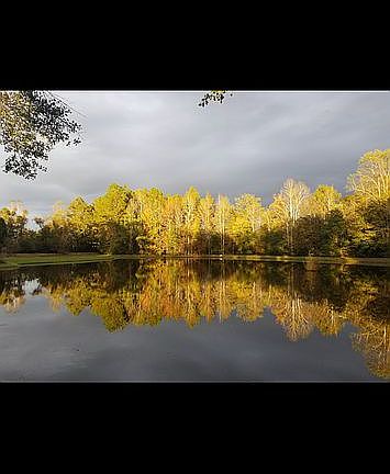 2nd image of 261 Lake Dr