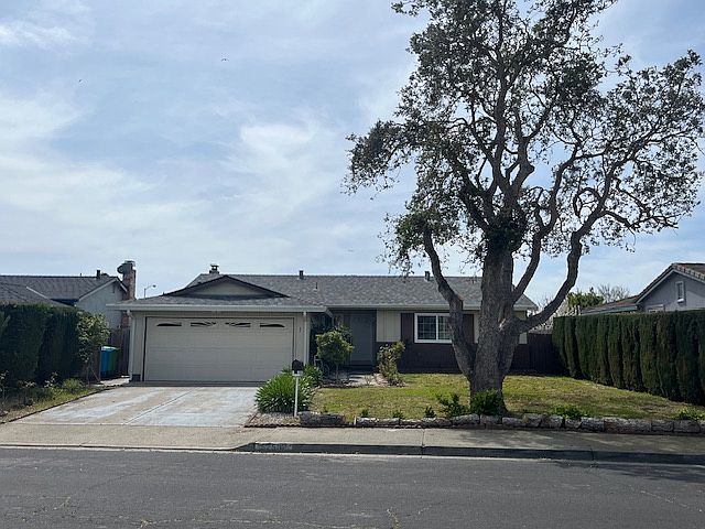 Front of house with grand oak tree