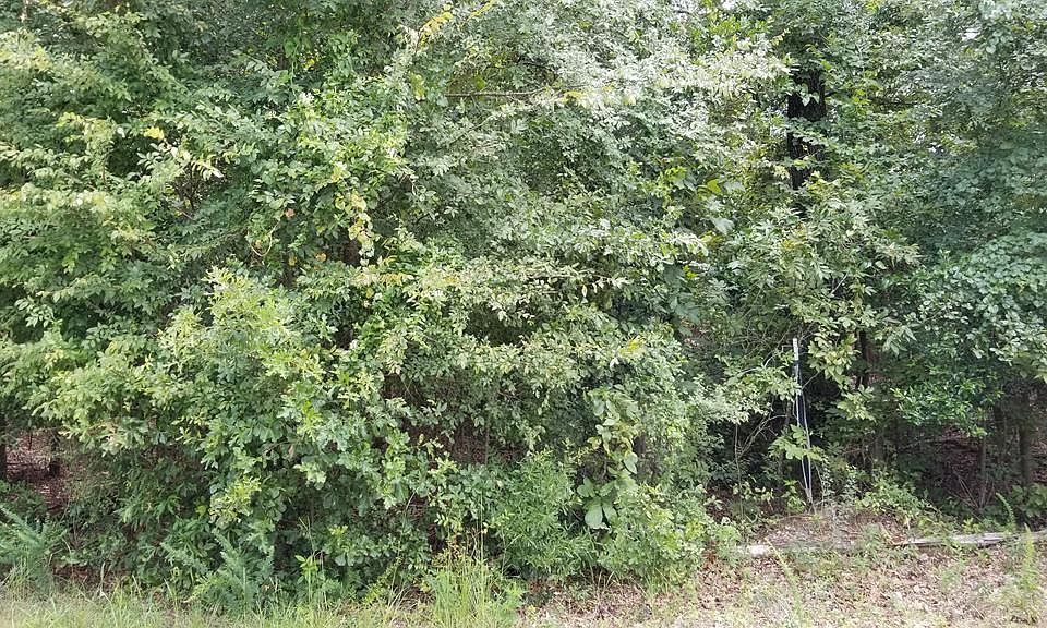 2nd image of LOT 3 Anderson Pond Rd