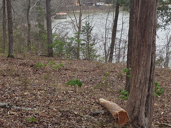 4th image of 253 Ezzell Hollow Rd