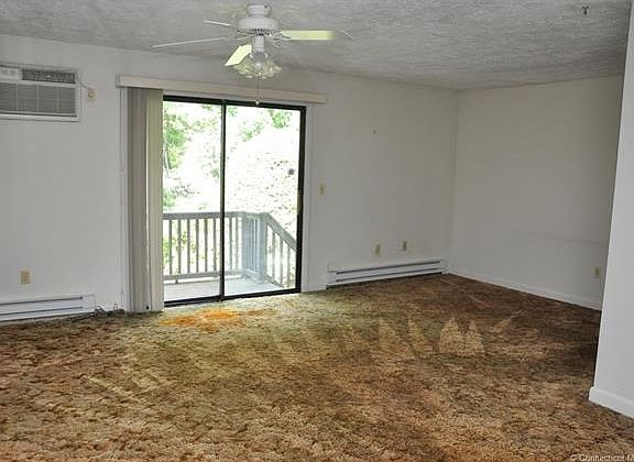 Sun filled living room