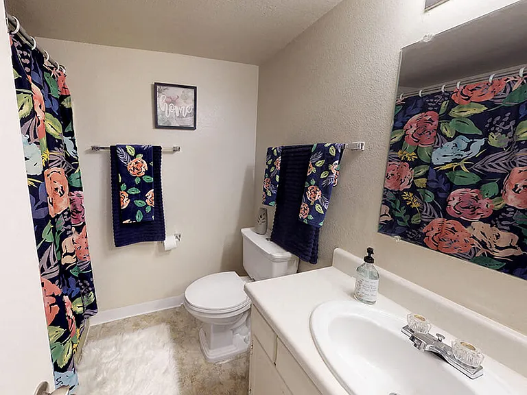 Large Bathrooms