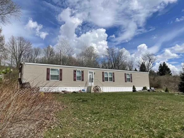2820 Hamden Hill, Hamden, NY 13782