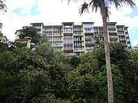 2nd image of 95-227 Waikalani Dr APT A905