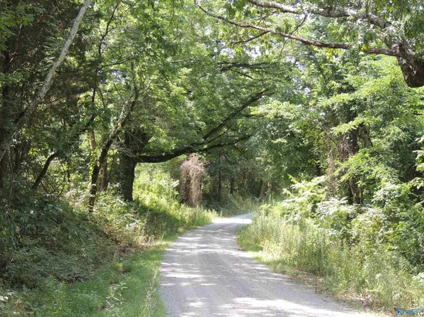 15 ACRES County Road 9, Moulton, AL 35650