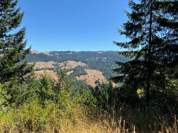 0 Thorpe Ln, Kneeland, CA 95549