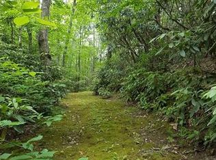 14 Skip Stone Rd, Asheville, NC 28803