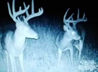 624 Landrum Rd, Warrenton, GA 30828