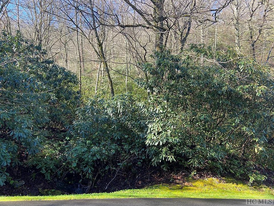 2nd image of Lot 18 W Falls