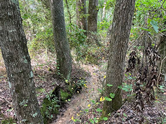 5th image of 1423 County Highway 25