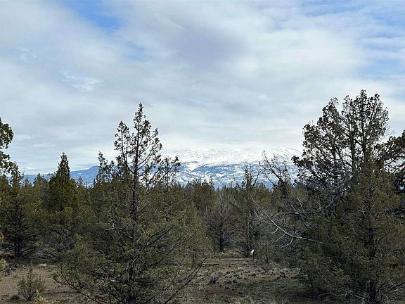 4th image of 9622 Woodchuck Way