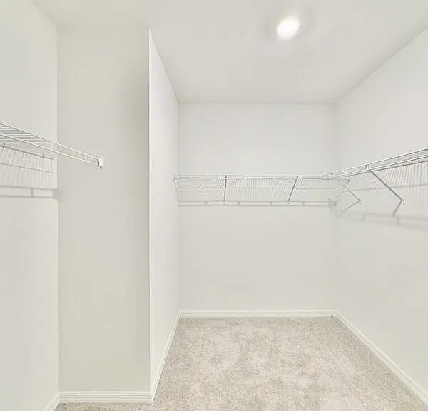 641 Bald Cypress Dr — Photo 61