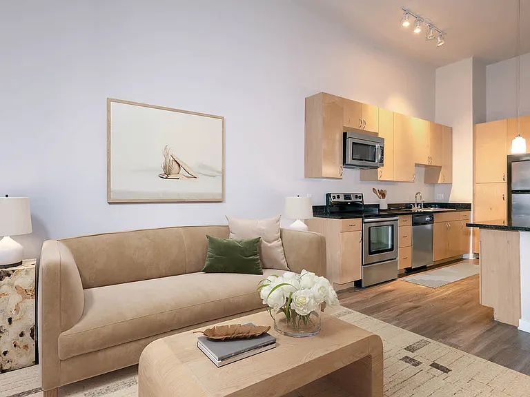 Living Area and Kitchen with Hard Surface Flooring