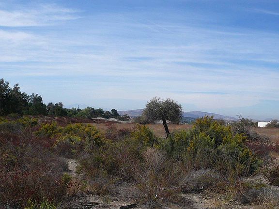View to SW