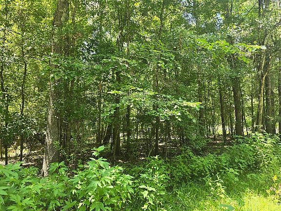 3rd image of 20340 County Road 4155