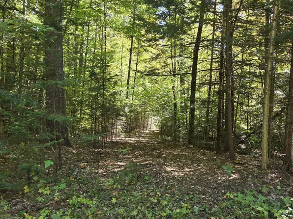 Quiet Cove Way #5, Wilmot, NH 03287