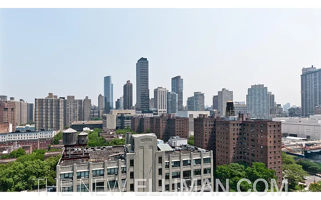 Rented by Douglas Elliman | media 16
