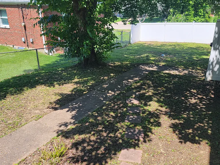 Back yard