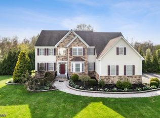5 Rigger Ct, Hillsborough Twp., NJ 08844