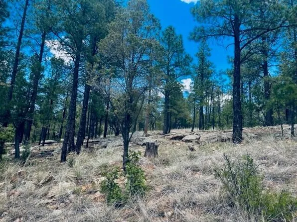 3626 Starlight Dr, Happy Jack, AZ 86024