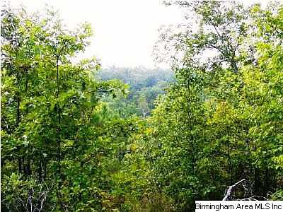 1st image of Highway 77 North Acres #40
