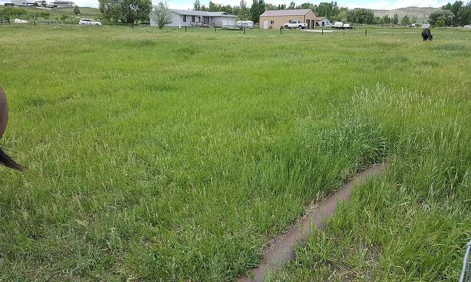 2nd image of 79 Del Ray Dr