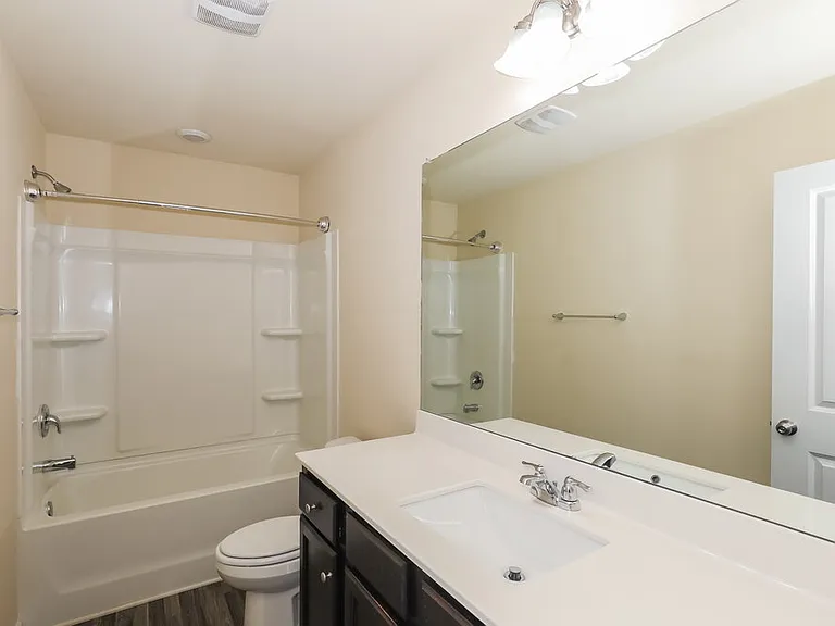 203 Hamilton Pointe Dr — Photo 16