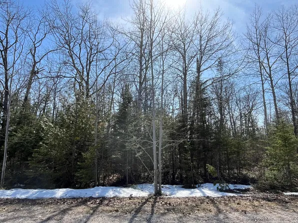 LOT 34 Pine St, Presque Isle, MI 49777