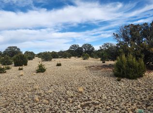 Pinon Hts, Quemado, NM 87829
