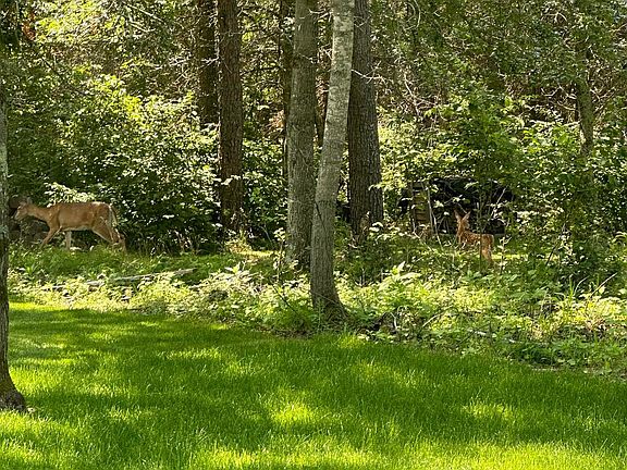 3rd image of 13837 Oakwood Dr