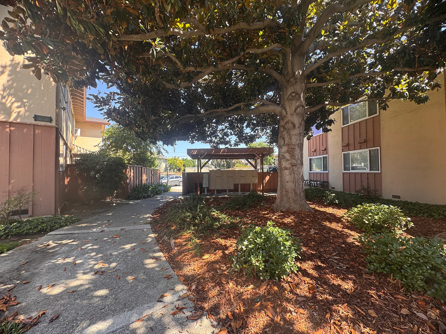 3 bed, 1200 sqft, $3,850 — Photo 3