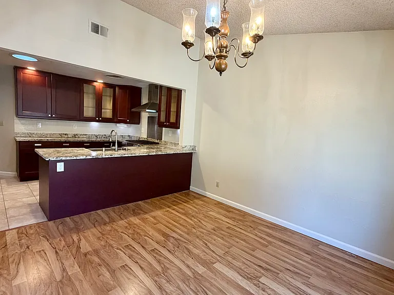 34200 Gadwall Cmn — Photo 3