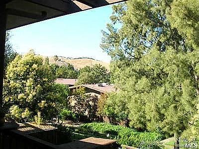 View of Trees and Hills