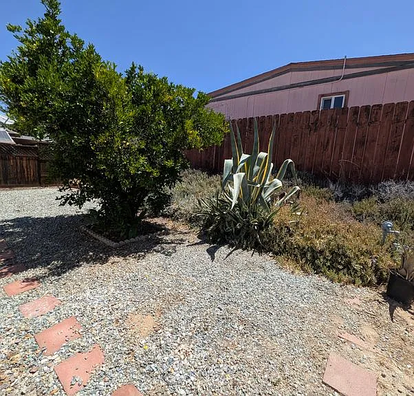 26108 Fountain Palm Dr — Photo 18