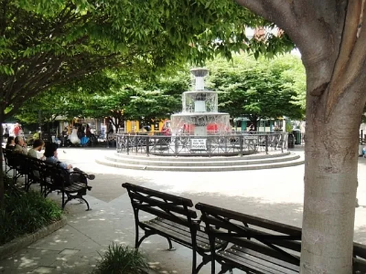 Rented by Citi Habitats | media 5