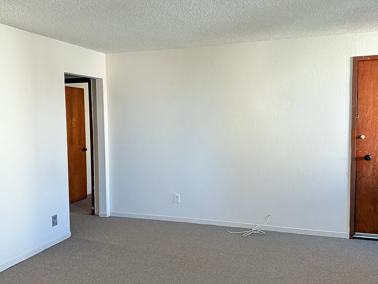 310 Hamilton St #1 — Photo 2