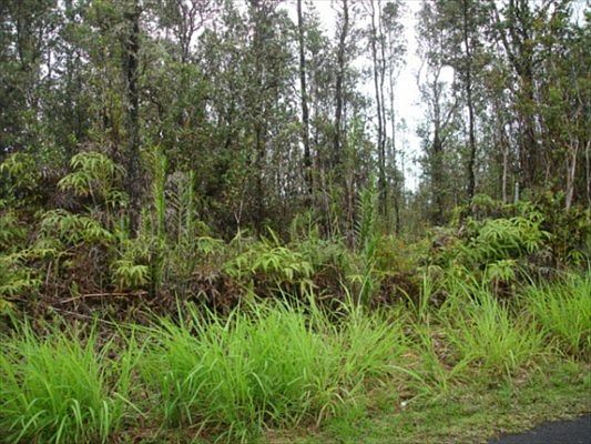 1st image of Lehua St Lot 6748