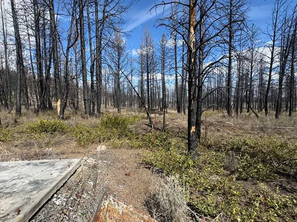 Nf 4464 Rd Lot 800, Beatty, OR 97621